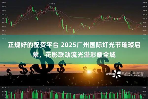 正规好的配资平台 2025广州国际灯光节璀璨启幕，花影联动流光溢彩耀全城